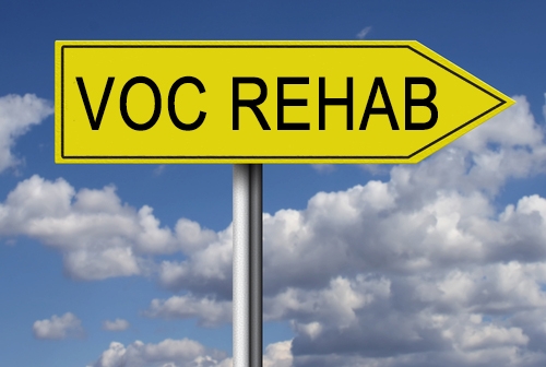 The Did You Know? Dozen on Vocational Rehabilitation Rights