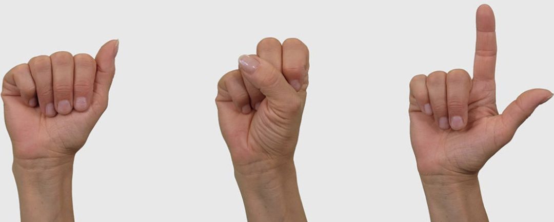 Better Special Education Policies to Support ASL Students