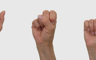 Better Special Education Policies to Support ASL Students